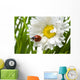 Ladybird in a daisy Wall Mural