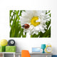 Ladybird in a daisy Wall Mural