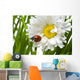 Ladybird in a daisy Wall Mural