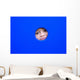 little kid playing peek-a-boo on a playground Wall Mural