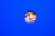 Little Kid Playing Peek-A-Boo On A Playground Wall Decal
