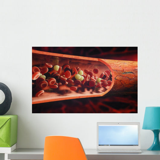 blood cells flowing through a vein Wall Mural