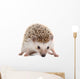 Spiky Little hedgehog Wall Decal