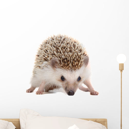 Spiky Little hedgehog Wall Decal