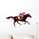 Derby Equestrian Horse Wall Decal