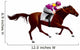 Derby Equestrian Horse Wall Decal