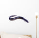 black Eel fish Wall Decal