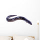 black Eel fish Wall Decal