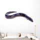 black Eel fish Wall Decal