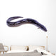 black Eel fish Wall Decal
