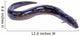 black Eel fish Wall Decal