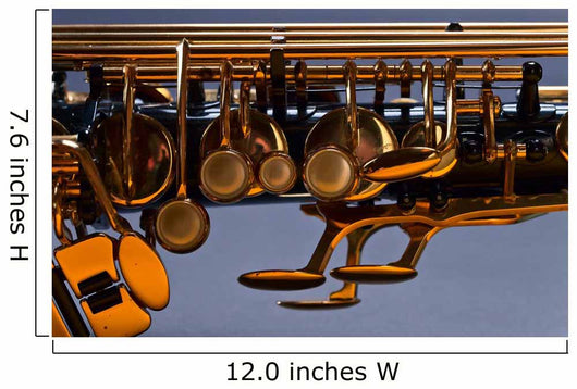 old  black saxophone Wall Mural