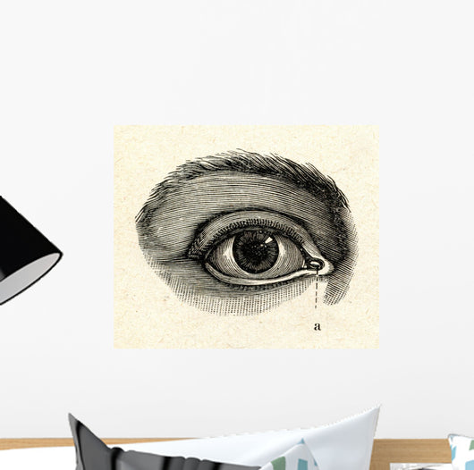 H40an eye Wall Mural