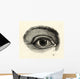 H40an eye Wall Mural