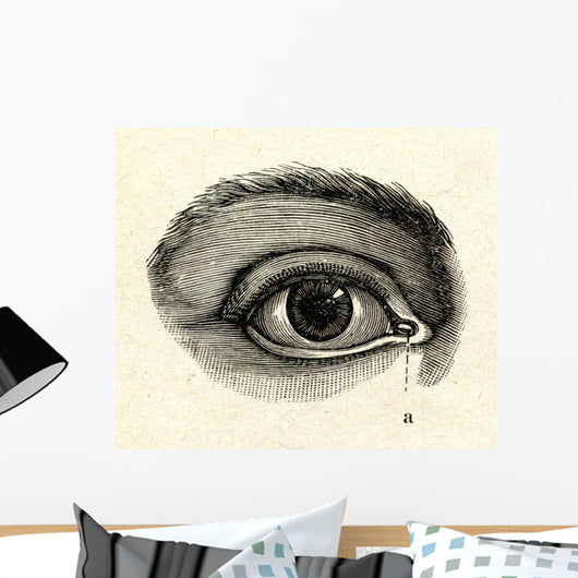 H40an eye Wall Mural