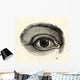 H40an eye Wall Mural