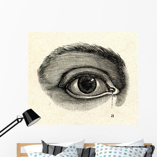 H40an eye Wall Mural