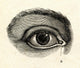 H40An Eye Wall Decal