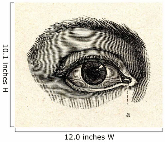 H40an eye Wall Mural