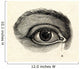 H40an eye Wall Mural