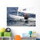 barca a vela Wall Mural