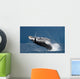 Jump humpback whale. Madagascar Wall Mural