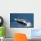 Jump humpback whale. Madagascar Wall Mural