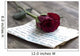 Love letter and rose Wall Mural