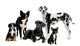 Group Of Dogs Wall Decal 2