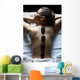 Young Woman Having Hot Wall Decal
