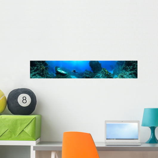 wreck at the bottom of the Red Sea Wall Mural