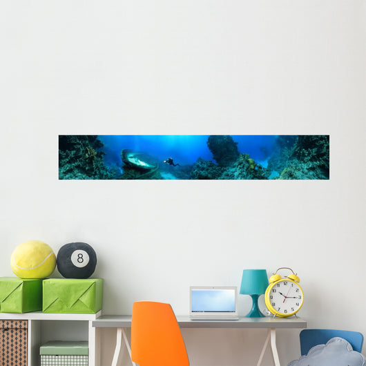 wreck at the bottom of the Red Sea Wall Mural