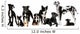 group of dogs Wall Decal