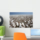 cotton field Wall Mural