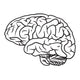 Brain Wall Decal