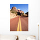 Two Lane Road Mountain Buttes Zion National Park Desert SW Wall Mural