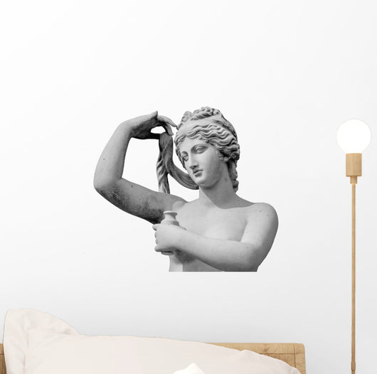 Venus Statue Isolated On White Background Wall Decal