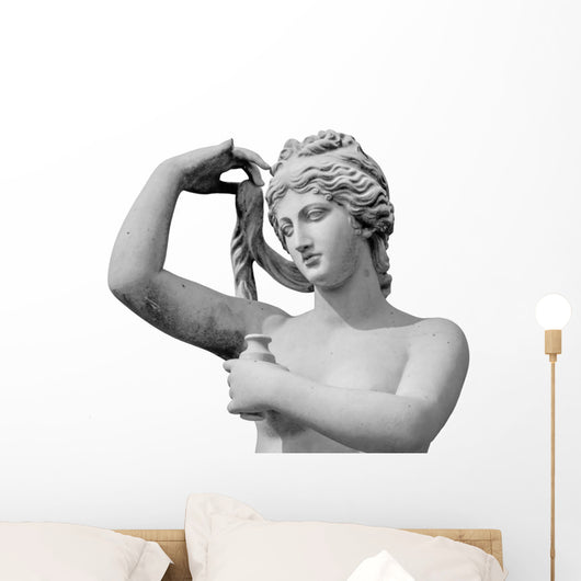 Venus statue isolated on white background Wall Decal