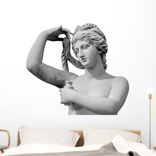 Venus statue isolated on white background Wall Decal