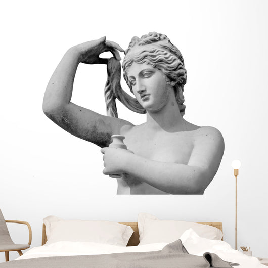 Venus statue isolated on white background Wall Decal