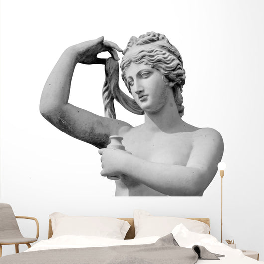 Venus statue isolated on white background Wall Decal