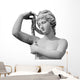 Venus statue isolated on white background Wall Decal