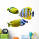 Marine Aquarium Fish Wall Decal