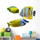 Marine Aquarium Fish Wall Decal