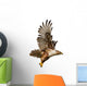 Flying Hawk Wall Decal