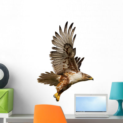 Flying Hawk Wall Decal shown on a wall