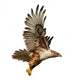 Flying Hawk Wall Decal