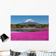 Fuji Shibazakura Festival Japan Wall Decal