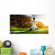 Soccer player in action Wall Mural