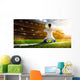Soccer player in action Wall Mural